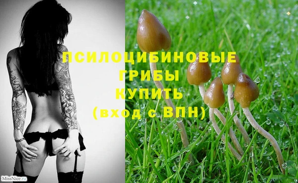 герыч Абинск