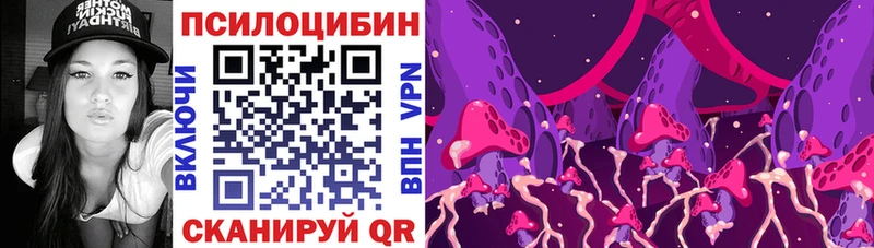 цена   Абдулино  Псилоцибиновые грибы GOLDEN TEACHER 